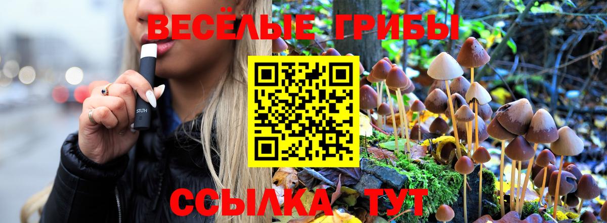 Галлюциногенные грибы мицелий  Вход с VPN  Грязи 