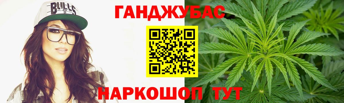 Конопля сатива Грязи